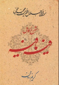 شرح کامل فیه ما فیه
